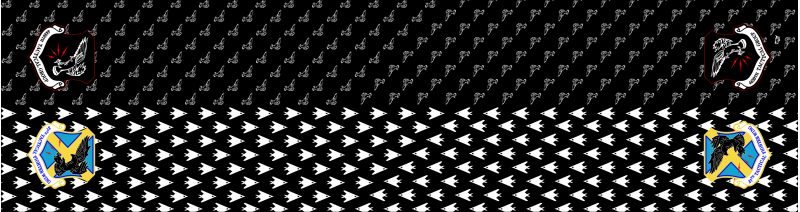 37 FW Flight Scarf, Tonopah Test Range