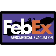 Image for 60 AES FebEx Full Color Patch