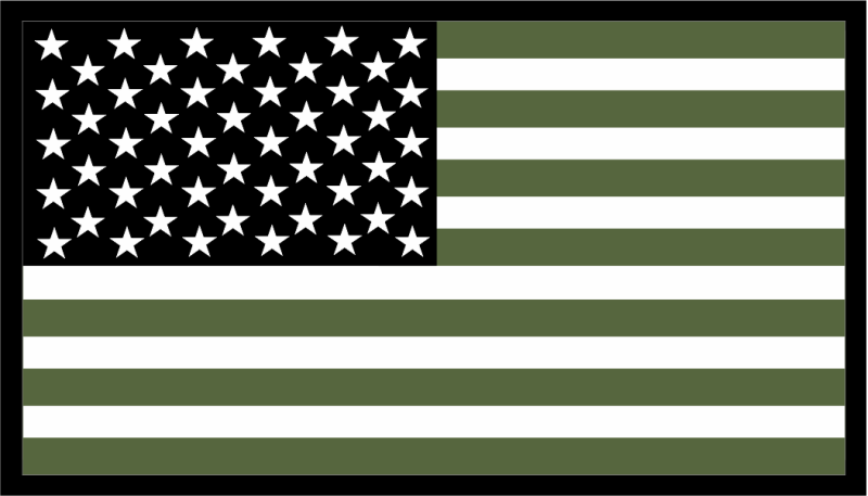 301 AS OD Green American Flag