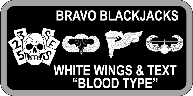 325 SFS Black/Gray Skull Name Tag 