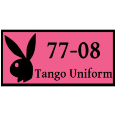 Image for HQ USAFE-AFAFRICA Pink Playboy Bunny Pocket Tab