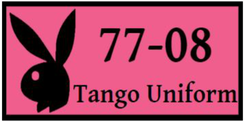 HQ USAFE-AFAFRICA Pink Playboy Bunny Pocket Tab