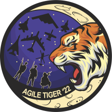 Image for 393 BS Agile Tiger 