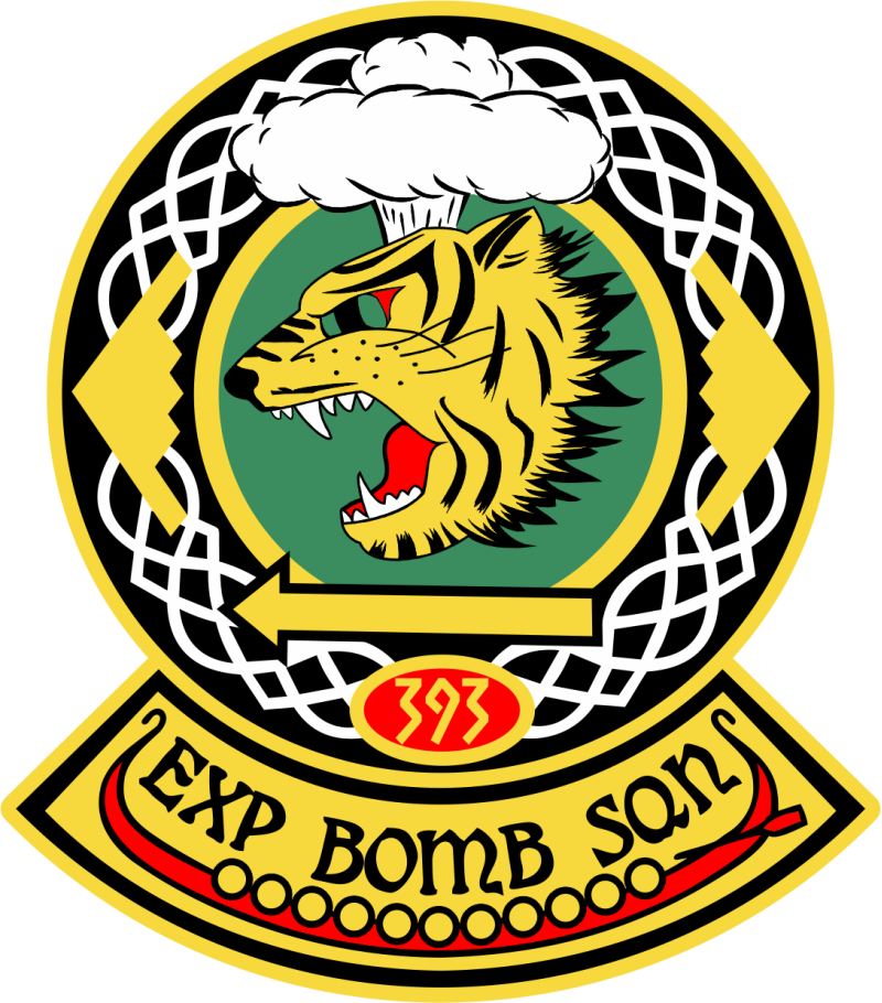 393 EBS Long Boat Full Color Patch 