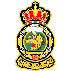 Image for 393 EBS Crown Full Color Patch