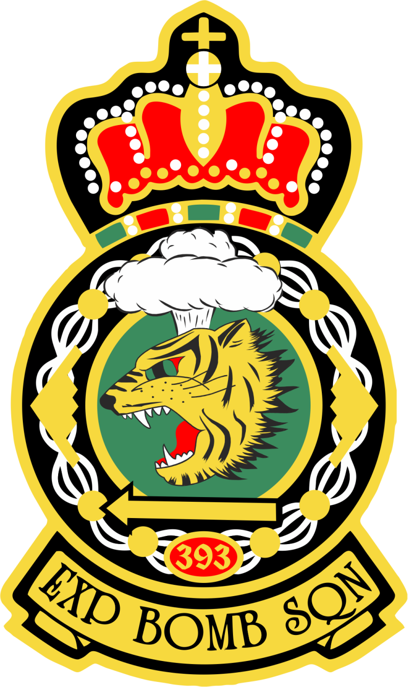 393 EBS Crown Full Color Patch 