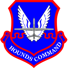 Image for 20 ATKS Hounds Command Patch