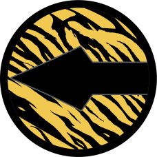 Image for 393 BS Black Arrow with Tiger Stripes Patch