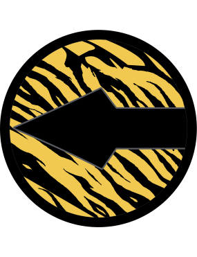 Image for 393 BS Black Arrow with Tiger Stripes Patch