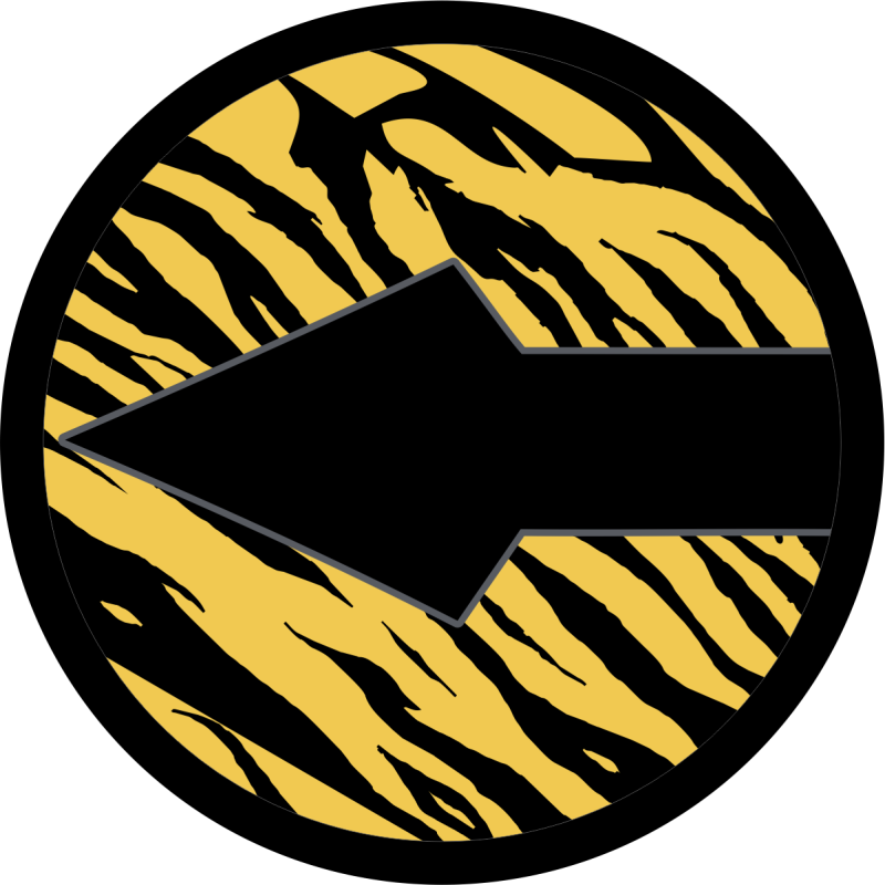 393 BS Black Arrow with Tiger Stripes Patch