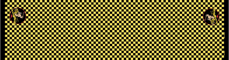 325 WPS Flight Scarf, Whiteman AFB