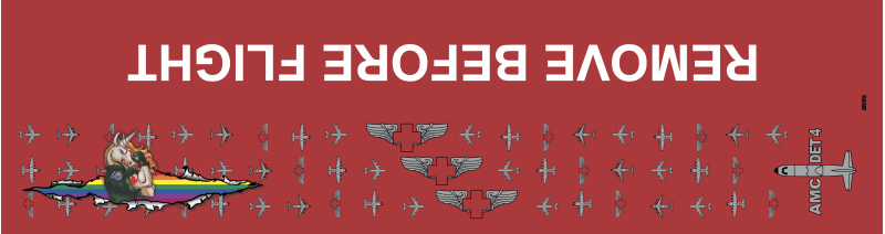 AMC Det 4 AOS Flight Scarf