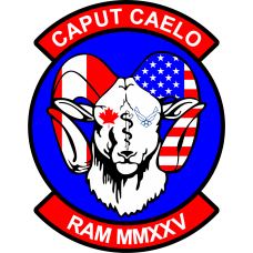 Image for 55 SRW RAM Full Color Patch
