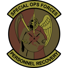 Image for AFLMC SOS OCP Patch