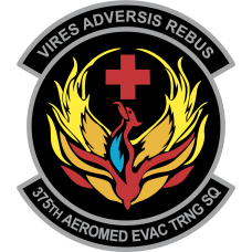 Image for 375 AETS Vires Adversis Rebus Patch