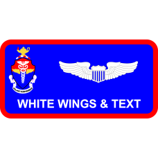 Image for USAFSAM SAM Seal Logo Name Tag