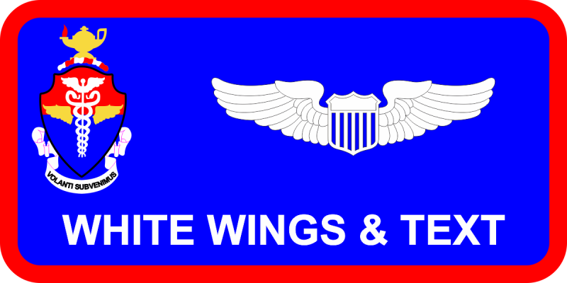 USAFSAM SAM Seal Logo Name Tag